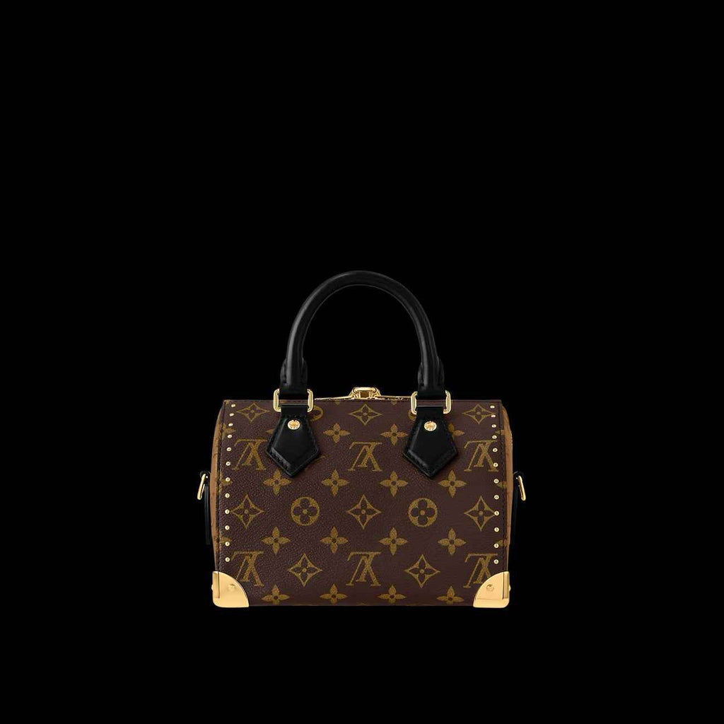 حقيبه سبيد ترنك من LV