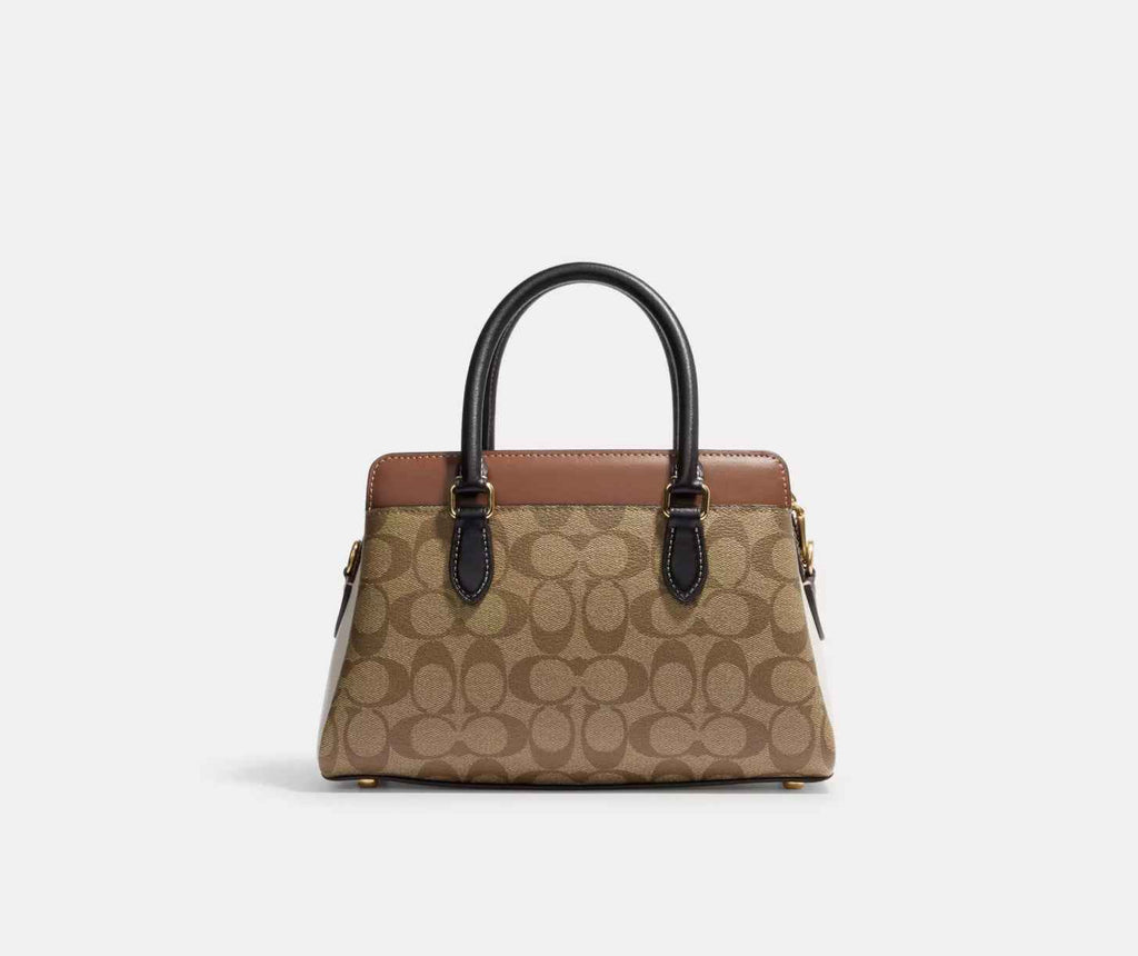 Mini Darcie Carryall Bag In Colorblock Signature Canvas